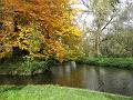 2010-1101-1230_Morden_Hall_Park_11C